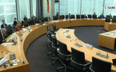 Introduction of the Net Basic Income to the German Parliament’s Petitions Committee
